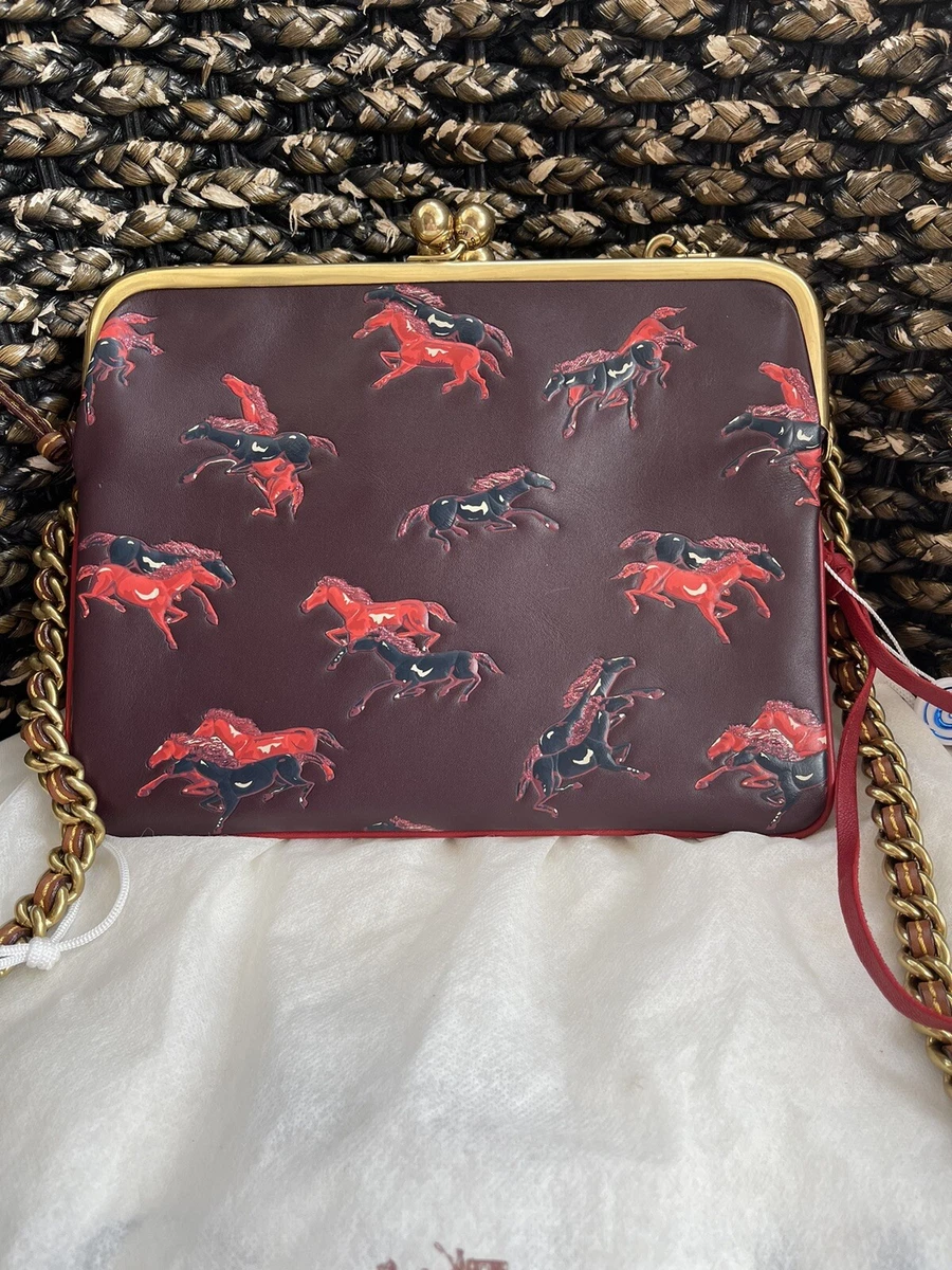 Double frame shop crossbody 12