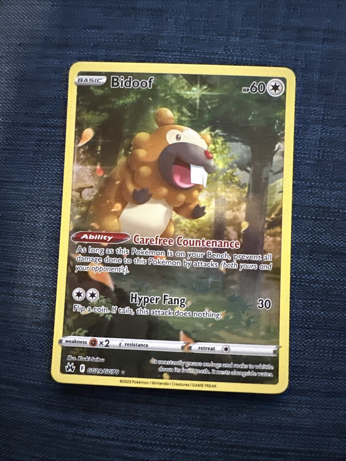Pokémon TCG Bidoof Crown Zenith: Galarian Gallery GG29/GG70 Holo Holo Rare NM