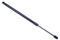 Gasfeder Heckklappen DäMpfer 680N 455Mm FüR Ford Focus DAW DBW DFW DNW