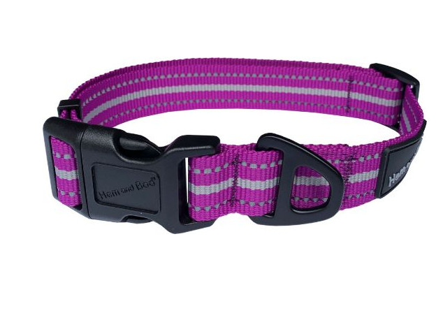 Hem and Boo Sports Collar Purple Large 14-24 Inches