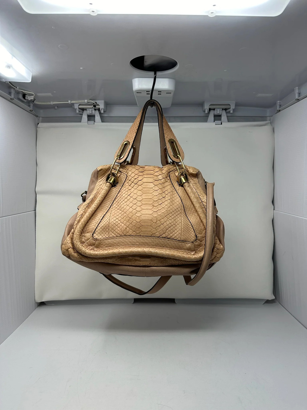 Chloe Paraty Beige Python with Shoulder Strap - image 8