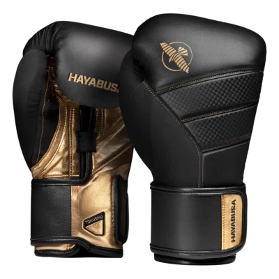 Hayabusa 10 oz. Weight Boxing Gloves for sale | eBay