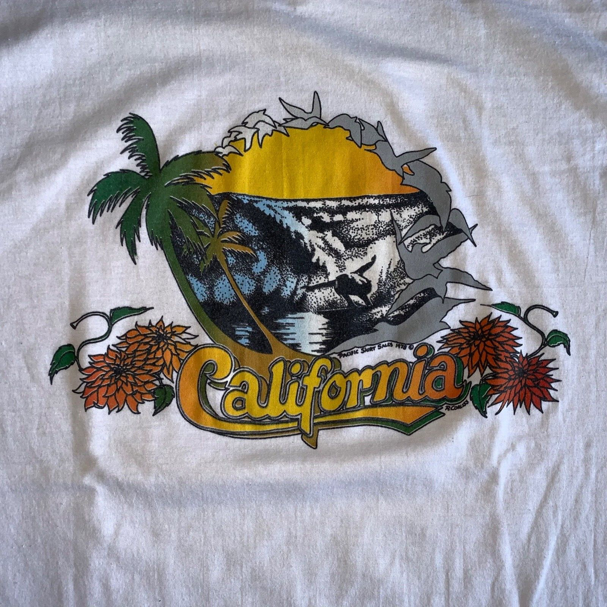 1978 VINTAGE 70s CALIFORNIA SURFING SOUVENIR T-SHIRT MEN SZ M