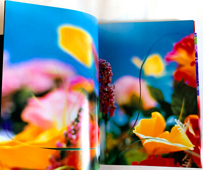 MIKA NINAGAWA Everlasting Flowers JAPAN PHOTO BOOK 2012 w MIKA NINAGAWA Everlasting Flowers JAPAN PHOTO BOOK 2012 w