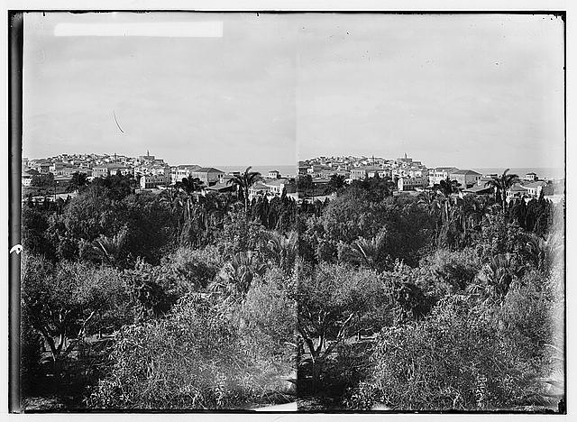 Jaffa from Hotel Jerusalem,Joppa,Tel Aviv,Israel,Middle East,American Colony