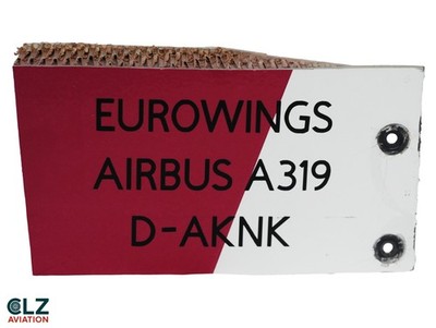 EuroWings Airbus A319 D-AKNK Aircraft Skin Cut