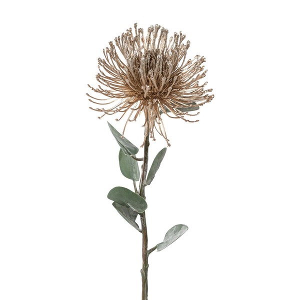 Kunstblume Prothea, 2Er Set, Farbe Champagner, HöHe Ca. 72 Cm-image