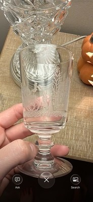 Heisey Vintage Etched Glass small cup