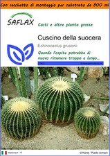 SAFLAX Garden in the Bag - Cuscino della suocera - 40 semi - Echinocactus