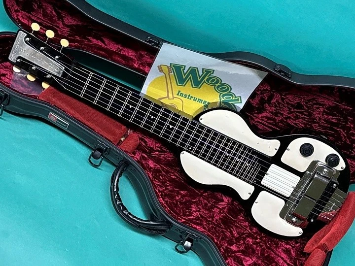 Rickenbacker Acoustic Guitars for sale | eBay
