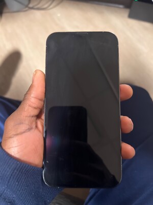 Apple iPhone 13 Pro Max - 128 GB - Blue (Unlocked) with TikTok