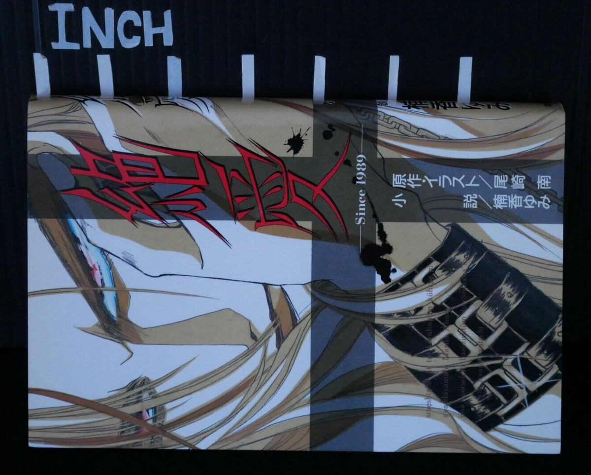 Zetsuai Since 1989 Novel - by Minami Ozaki, Yumi Kusuka