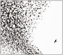Sky Blue Sky von Wilco | CD | Zustand sehr gut