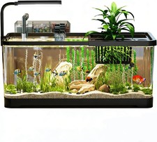 5 Gallon Fish Tank Aquarium Plastic Starter Kit W/ Filter led Light sponge