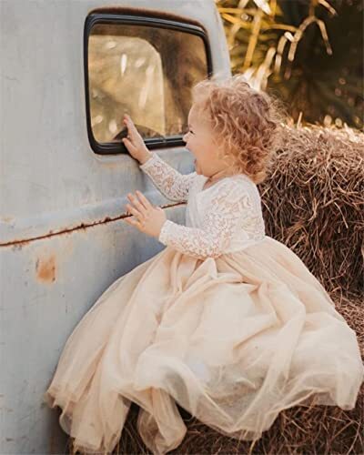 Girl Toddler Full-Length Straight Tulle Tutu Lace Back Party Flower Girl Dres... - Picture 3 of 6