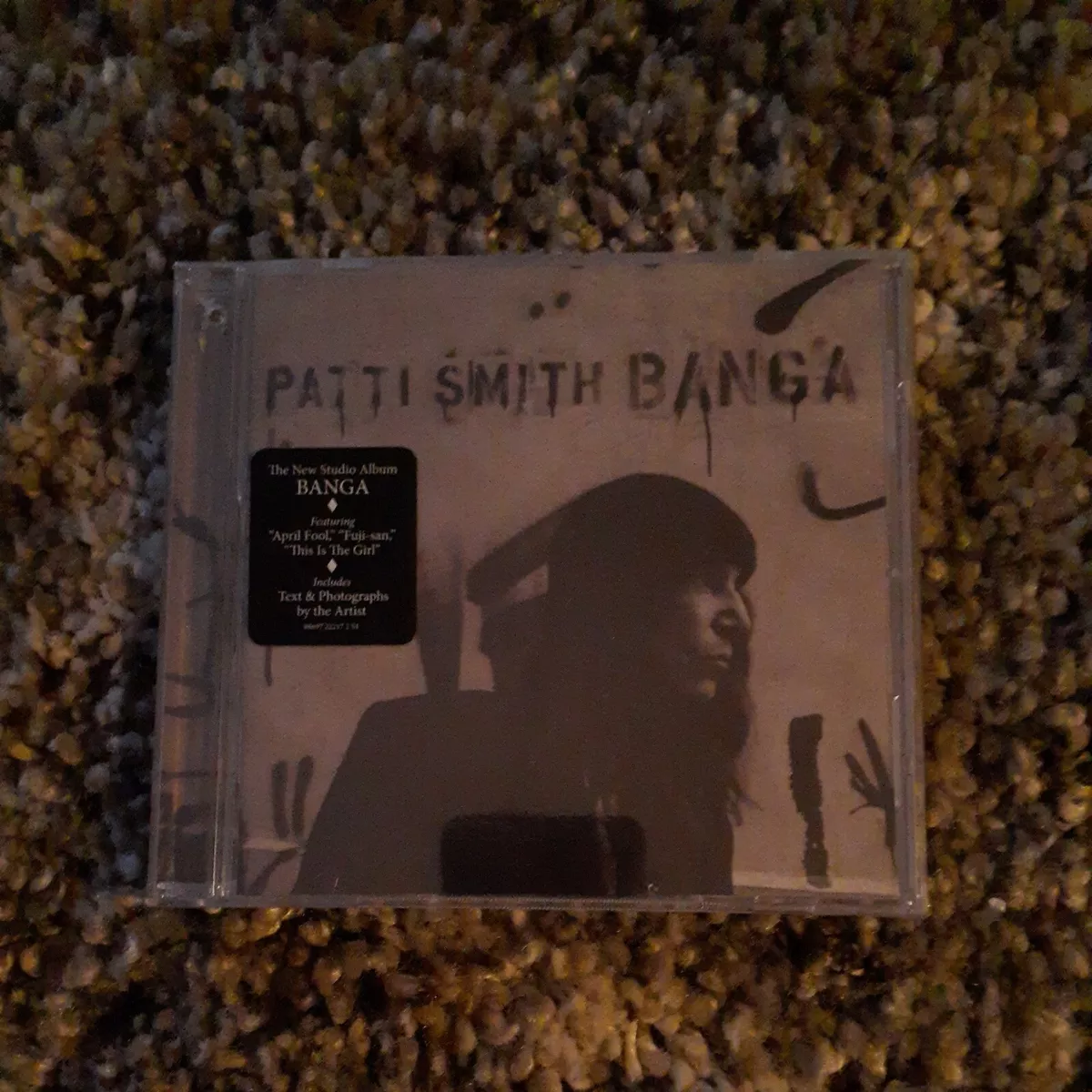 PATTI SMITH / BANGA *BRAND NEW SEALED CD | eBay