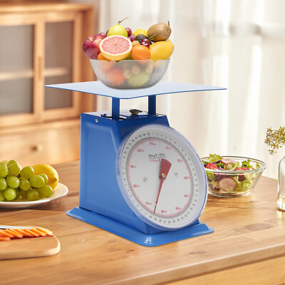 Portion-Control Mechanical Food Scale Industrial Dial Scale Iron Platform Scale