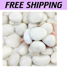 Polished White River Rocks - 20lbs Decorative Pebbles for Outdoor and Indoor Use
