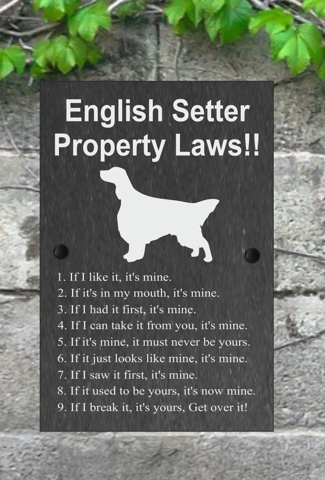 Property Laws Funny Dog Slate Gate House Sign 3 Sizes ALL BREEDS AVAILABLE D-L - Image 3 of 3