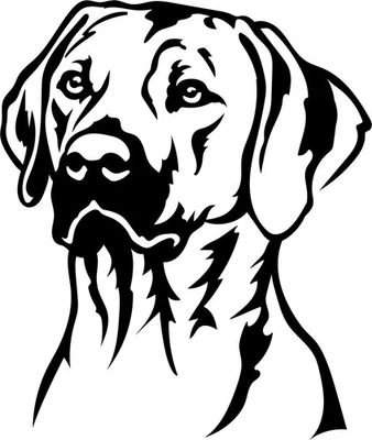 RHODESIAN RIDGEBACK Aufkleber -  Autoaufkleber - sticker - Ridgeback Kopf #88 - Bild 1 von 3