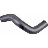 Metzger 2421005 KüHlerschlauch FüR Lancia Fiat Ypsilon Musa Punto Idea 312 843