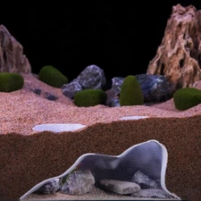 Fish Tunnel Aquarium Cave Aquarium Unique For Shrimp Decor Shrimp Tank US