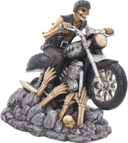 Nemesis Now Rams Skull - Targa da parete media, 32,5 cm, colore