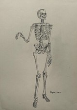 Disegno A Molla Scheletro Struttura Ossea Del Corpo Umano Firmato 1943