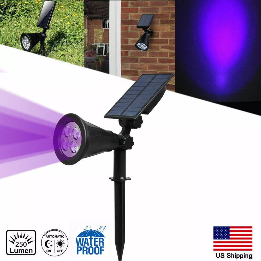 Purple on sale spot lights