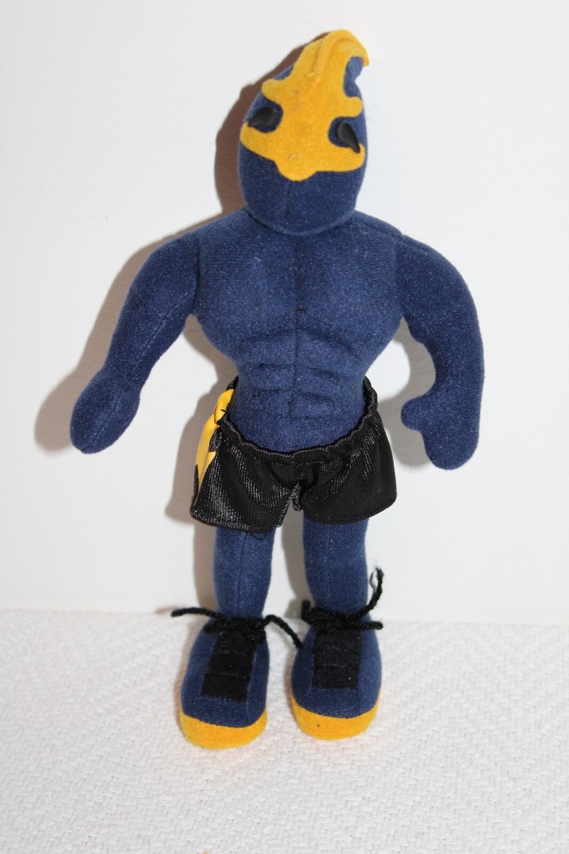 Very Rare Golden State Warriors 