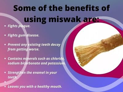 Siwak case I Ideal for everyday use