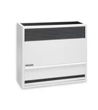 Williams Direct Vent Gravity Wall Heater 22,000BTU Natural Gas White (QQ3)