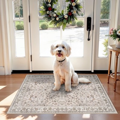 2x3 Non-Slip Washable Kitchen Rug   Boho Small 2' x 3' (Rectangular), Beige 