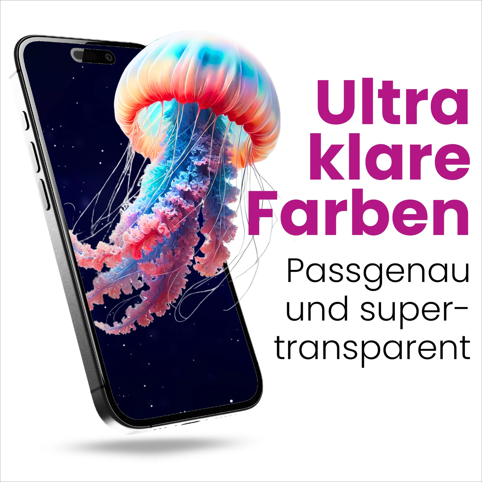 Bild 7 von 8