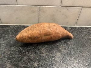 Rare Naturally Occurring Sea Manatee Sweet Potato “Sea Cow” – One Of A Kind
