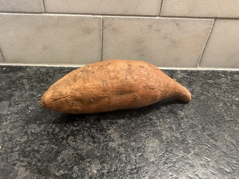 Rare Naturally Occurring Sea Manatee Sweet Potato “Sea Cow” – One Of A Kind