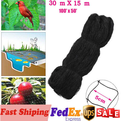 Anti Bird Netting 2" Mesh Nylon 50X100' Bird Poultry Fish Aviary Game Pens Net - Picture 1 of 11