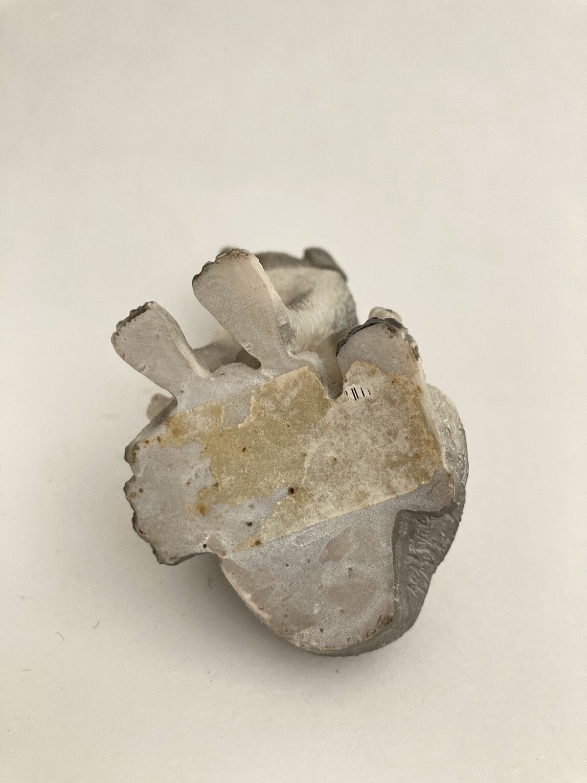 Picture 4 of 5