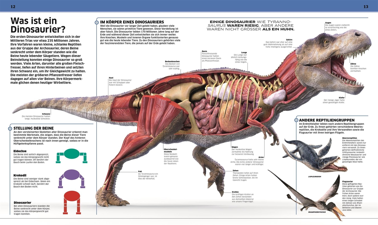 Thumbnail - Dk Wissen. Dinosaurier John Woodward