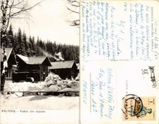 CPM AK PALTINIS see din statatune ROMANIA (504757)