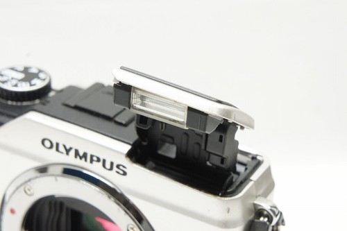 Olympus PEN Lite E-PL2 Body Mirrorless Camera Gold with Defects From Japan AS-IS - Picture 10 of 10