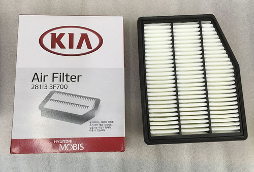 Kia Amanti Opirus 2 7L 2007 2009 GENUINE OEM AIR Cleaner FILTER 