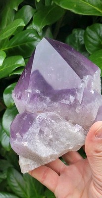Amethyst, Amethyst Spitze Brasilien Spezial  / 2,019 Kg