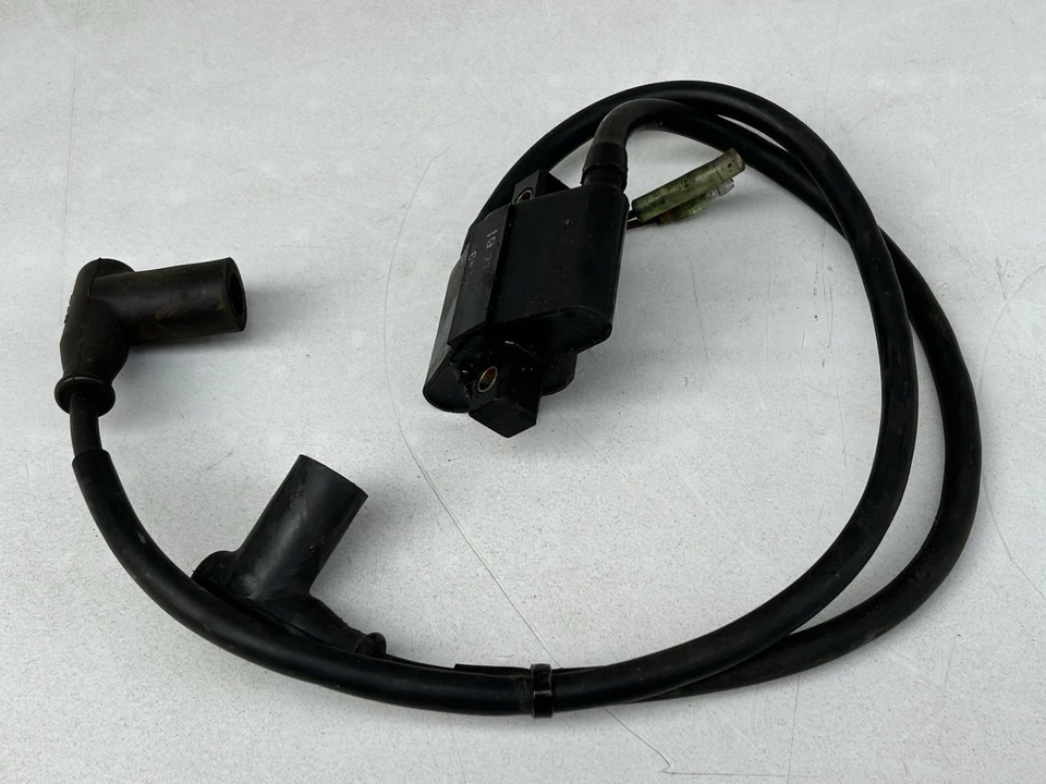 Bobina de encendido Arctic Cat 3005-170 1998-2008 OEM Z440 Z370 PANTHER JAG BEARCAT Foto 3 de 4