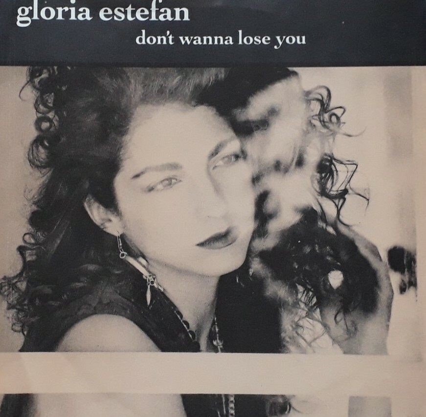 Gloria Estefan-Don't Wanna Lose You Vinyl 7"" Single.1989 Epic 655054 0.