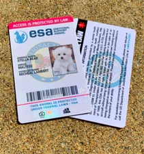 ESA ID CARD FOR EMOTIONAL SUPPORT DOG / CAT ANIMAL / SERVICE DOG - HOLOGRAPHIC
