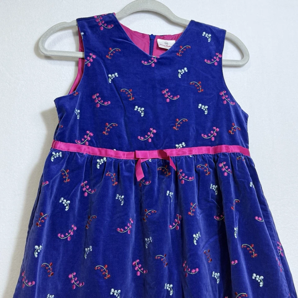 Vestido Hanna Andersson Púrpura Bordado Sin Mangas Forrado Terciopelo Niñas 150 EE. UU. 12 Foto 4 de 4