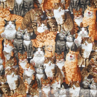 BonEful Fabric FQ Cotton Quilt Brown Gray White B&W Kitty Cat Kitten Stripe Face
