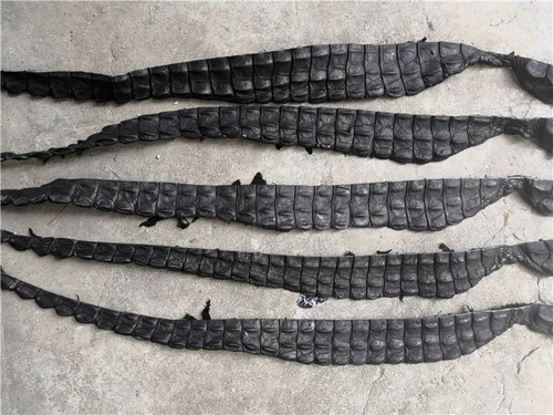 1X Real Crocodile Bone Leather Alligator Skin Hide Fish Bone Scraps DIY Keychain - Picture 3 of 10
