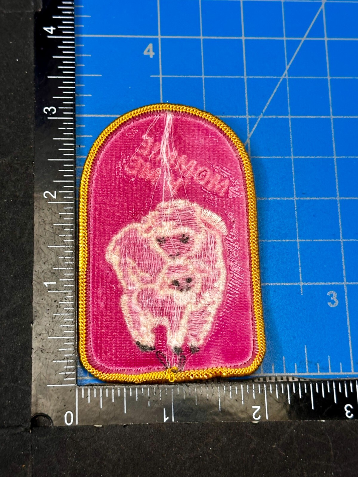 Picture 4 of 5